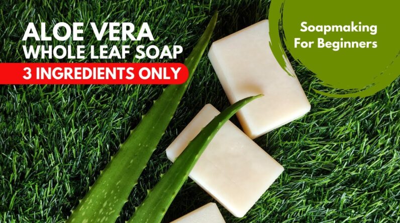 3 Ingredients Aloe vera Whole Leaf Soap