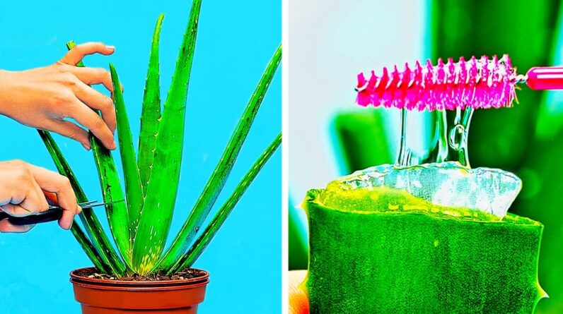 33 HOLY GRAIL ALOE VERA HACKS