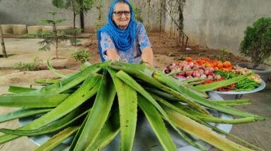 ALOE VERA COOKING | HEALTHY RECIPE | ALOE VERA REIPE | VEG VILLAGE FOOD