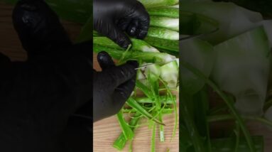 Cleaning small Aloe vera leaves for soaping