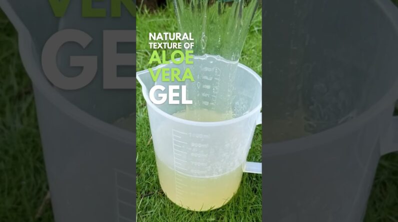 Aloe vera gel